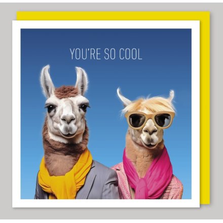 16cm You're So Cool Greeting Card