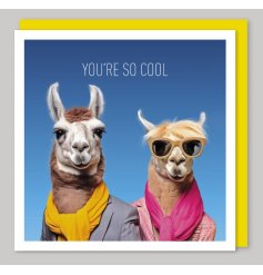 Get ready to make someone's day with our Your So Cool Greetings Card! The perfect way to show someone just how cool 