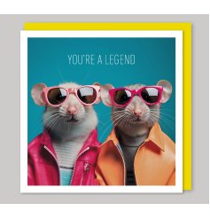 Add some laughter to any occasion with our premium, photographic animal print Greetings card 