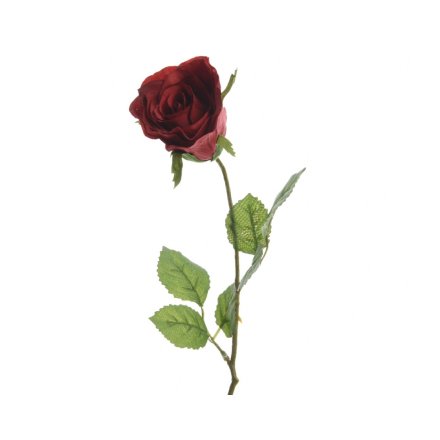 Single Rose on Stem, 45cm 
