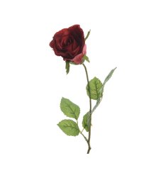 Behold the beauty of our single red rose - a striking statement to express your love.