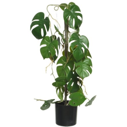 Polyester Plant Monstera in Pot, 63.5cm 