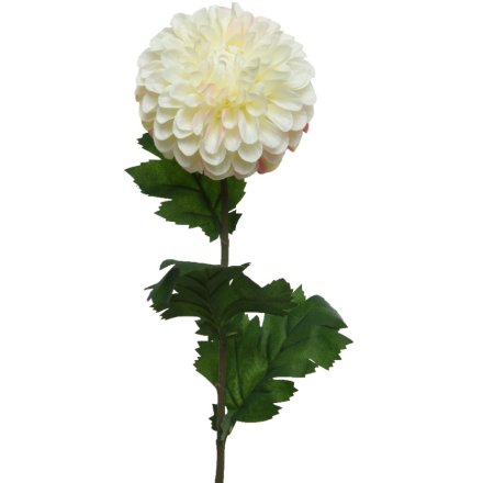 75cm Cream Dahlia on Stem
