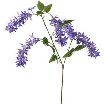 Purple Spray Wisteria on Stem, 110cm 