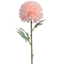 Vibrant pink blossom on elegant stem - a truly stunning addition to any garden or bouquet.