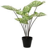 A must have for the home thi plastic potted plant is ideal