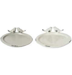 Welcome feathered friends to your garden with the elegant and long-lasting Birdfeeder.