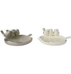Enhance your garden with charming bird baths, perfect for adding a touch of nature. 