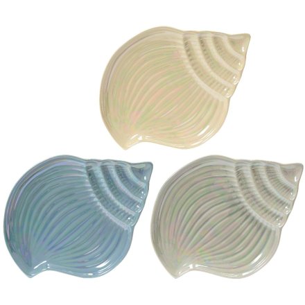 3/A Sea Shell Plate, 17.5cm 