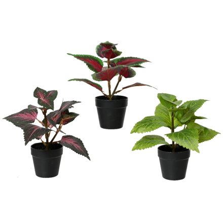 3/A Pe Plastic Leaf Potted Plant, 18cm 