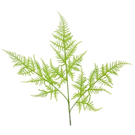 Asparagus Spray on Stem, 85cm 