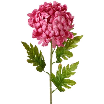 Chrysanthemum Pink Flower on Stem, 74cm 