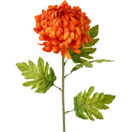 74 cm Chrysanthemum Flower on Stem