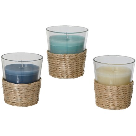 3/A Citronella Wax Candle Holder, 7.5cm 
