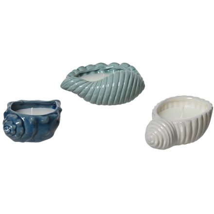 3/A Sea Shell Design Wax Citronella Candle,13.4cm 