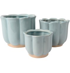 Enhance your home's greenery with this charming trio of planters, perfect for any household botanicals