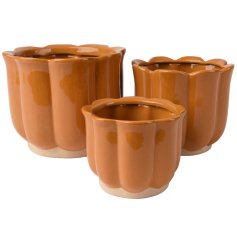 Upgrade your home décor with Planter Stoneware - the perfect blend of style and durability, 