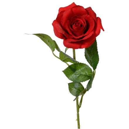 Red Rose on Stem, 55cm
