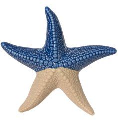 Add some coasta charm to your hoem with this cute starfish deco