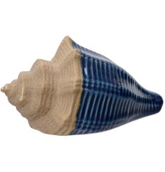 bring the beach indoor with this stunning sea shell ornamnet