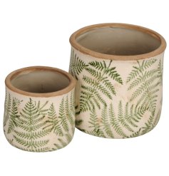 A gorgeous set of 2 stone planters in a fern pattern.