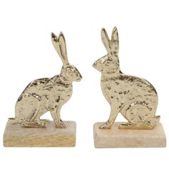 Add a touch of enchantment to your home with our intricately crafted gold rabbit, available in 2 unique designs.