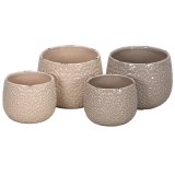 Add charm and elegance to your space with these charming pink planters