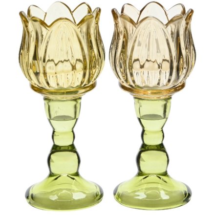 2/A Glass Tulip Candle Holder, 16cm 