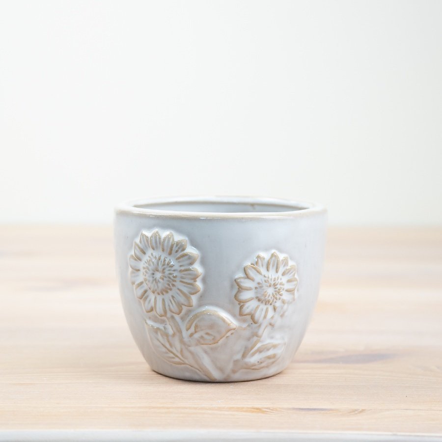 Elegant white etched planter for a touch of sophistication to your botanical display.