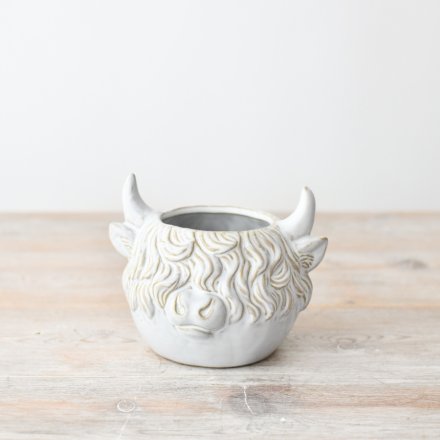 the ideal planter for the highland cow lover 