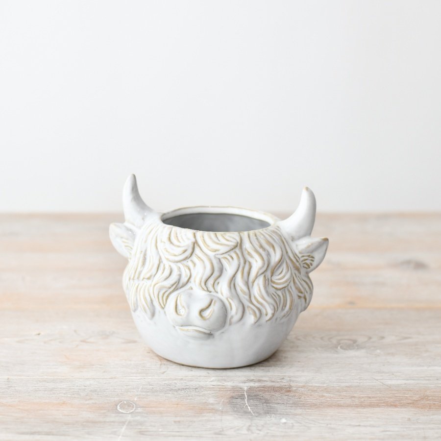 Perfect for the highland cow enthusiast, this planter is a must-have