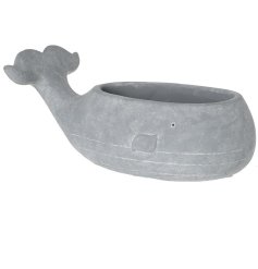 Add a touch of whimsy to your indoor garden with our charming whale-shaped planter. 