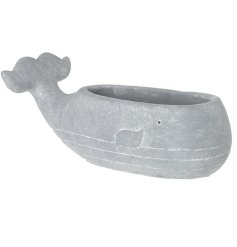 Add a touch of whimsy to your home with our charming whale planter for houseplants. 