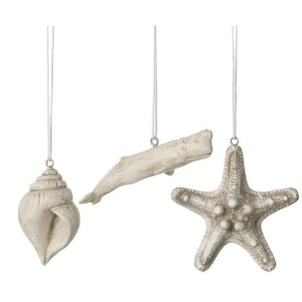 3/A Hanging Shell Starfish & Whale Mix