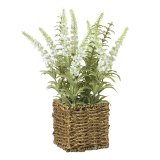 Bringing the beauty of nature indoors with our exquisitely plant