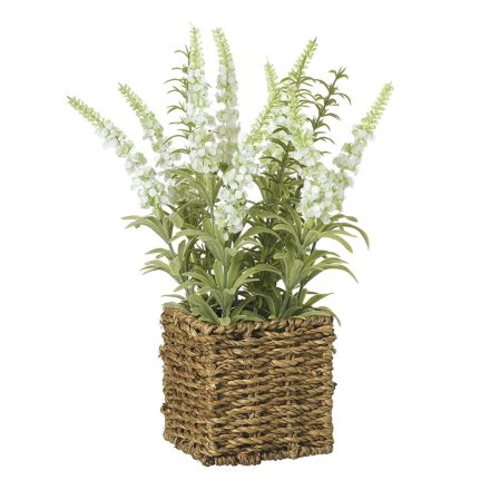 30.5cm Artificial Plant in Wicker Cube Pot 