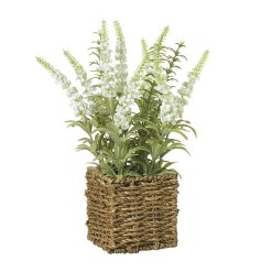 Bringing the beauty of nature indoors with our exquisitely plant