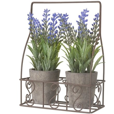 Lavender Pots In Metal Swirls Holder, 20cm 