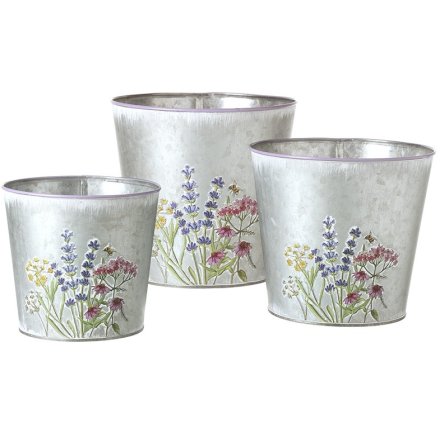 S/3 Metal Bucket Flower Planters, 15cm 