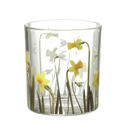 Glass Daffodil T light holder, 8cm 