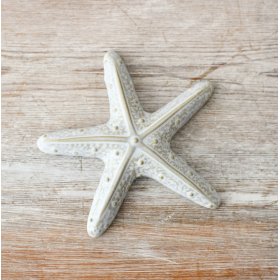 Add a coastal touch to your home with this stunning starfish decoration.