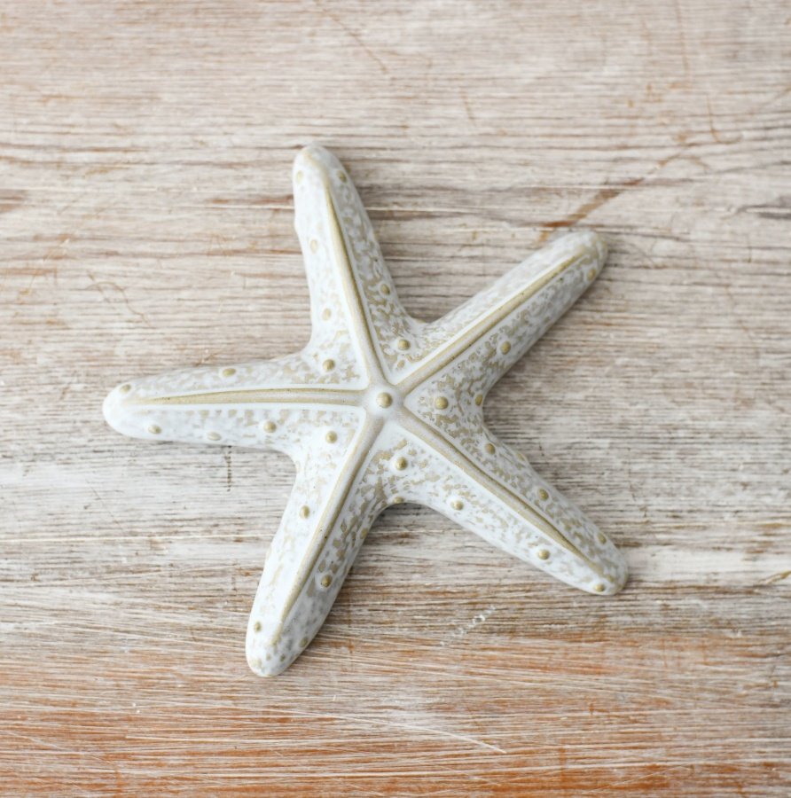 Add a coastal touch to your home with this stunning starfish decoration.