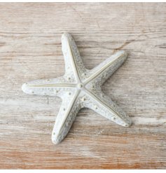 Create a coastal abode with this gorgeous starfish ornament. 