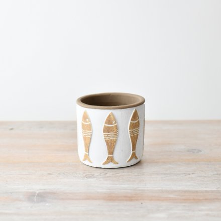 a fun fish design plant pot, ideal for any house hold plants 