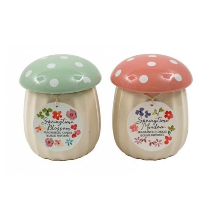 2/A Spring Time Mushroom Candle Pot, 11cm 