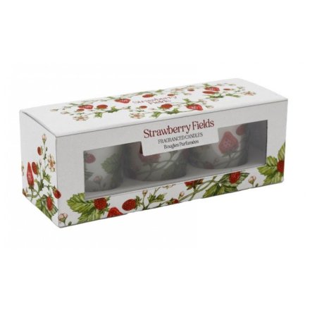 S/3 Strawberry Votives, 16.8cm 
