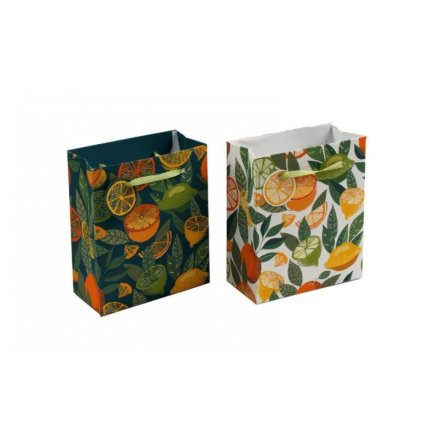 Citrus Burst Gift Bag, 2A 23cm