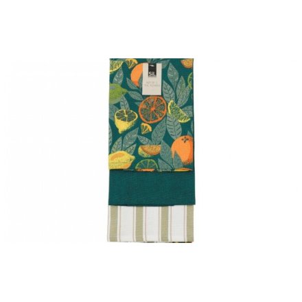 Pk3 Citrus Zest Tea Towels, 65cm 