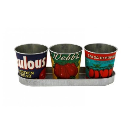 S/3 Tomato Planters on Tray, 8cm 