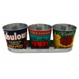 tomato plant pots with trays